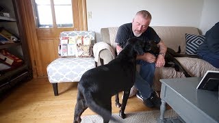 Brooke Jones-Story - Part 2: 'Daisy was her baby'