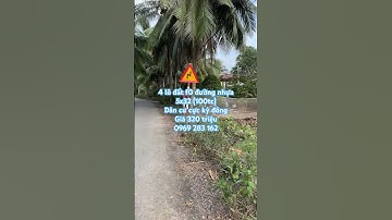 Bán đất vườn tiền Giang | kẹt tiền xã lỗ vài lô đất lộ nhựa | Đất Mới TV | #short