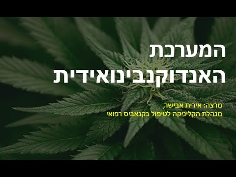 המערכת האנדוקנבינואידית