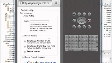 Open Payments Code Example