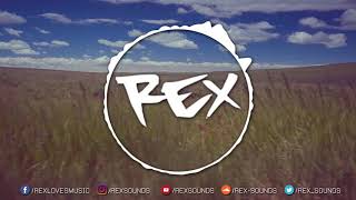 Angel (Alex D Remix) - Shaggy 👑 Rex Sounds