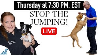 How To STOP Your Dog From Jumping Up  LIVE Q&A