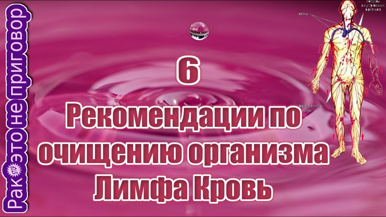 Знаток организма 6