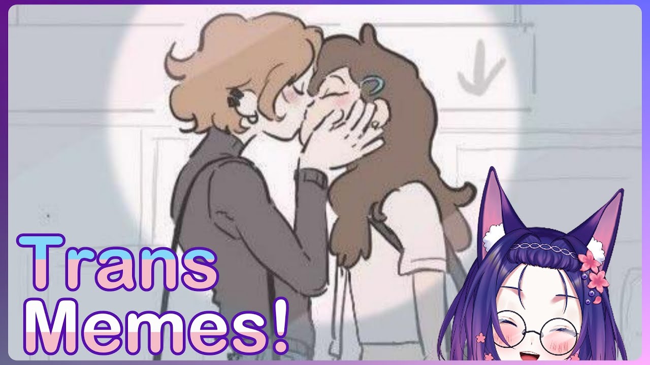 Some REALLY Gay Trans Memes for Your Day | r/traaaaaa2 & r/egg_irl