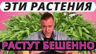 ДЖУНГЛИ ЗА МЕСЯЦ! 🌿 10 Самых Быстрорастущих Растений для Дома!