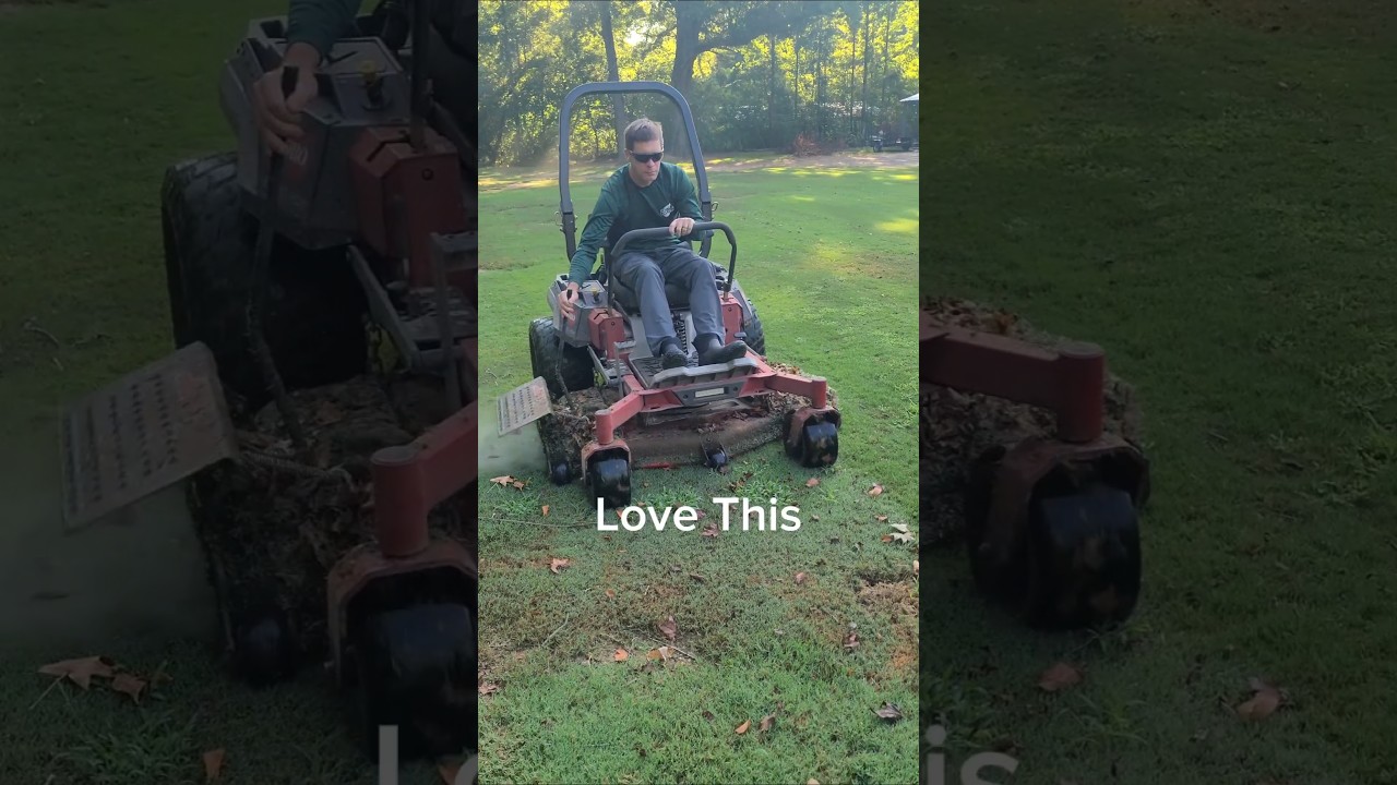Favorite Mower Accessory 