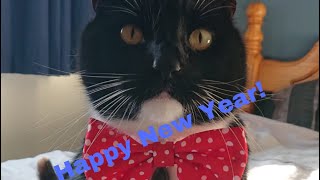 Late Happy New Year! (Random Video Just To Say Thank You)
