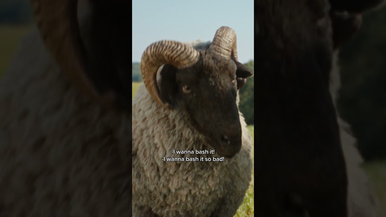 Sheep can do anything...