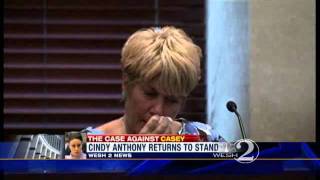 Famous Cindy, Lee Give Emotional Testimony Profile