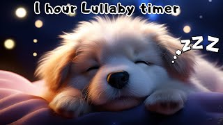 1 Hour Lullaby Music for Kids with Timer |Calming Bedtime Music| Classroom Kids Timer