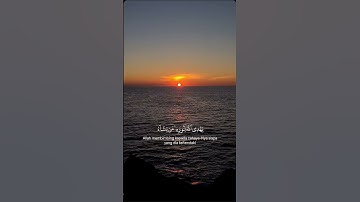 ارح سمعك وبصرك مع القرآن الكريم 😌❤️ #اكسبلور #حالات_واتس #القرآن_الكريم #لايك #ستوريات #تيك_توك