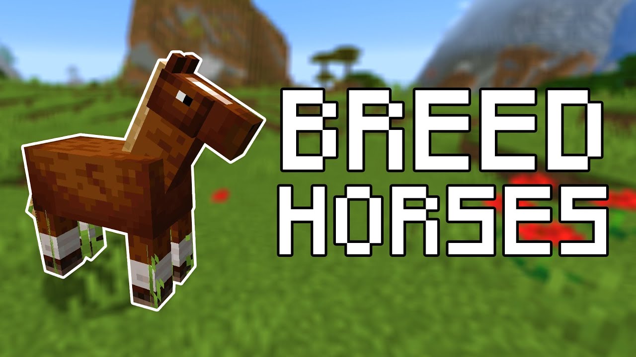 Horse Breeding Minecraft Chart