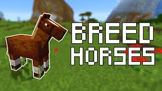 How to Breed Horses in Minecraft (All Versions)