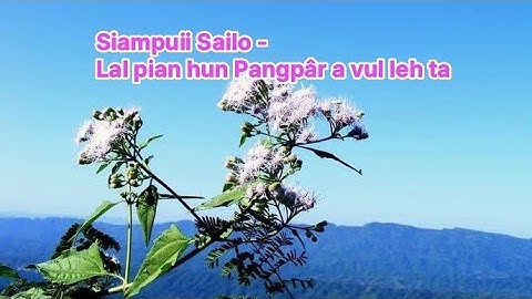 Siampuii Sailo - Lal pian hun Pangpâr a vul leh ta