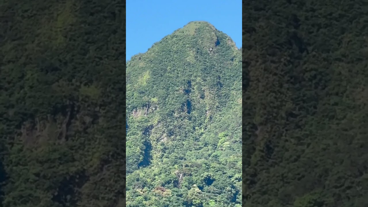 The beautiful mount Maria Makiling⛰️