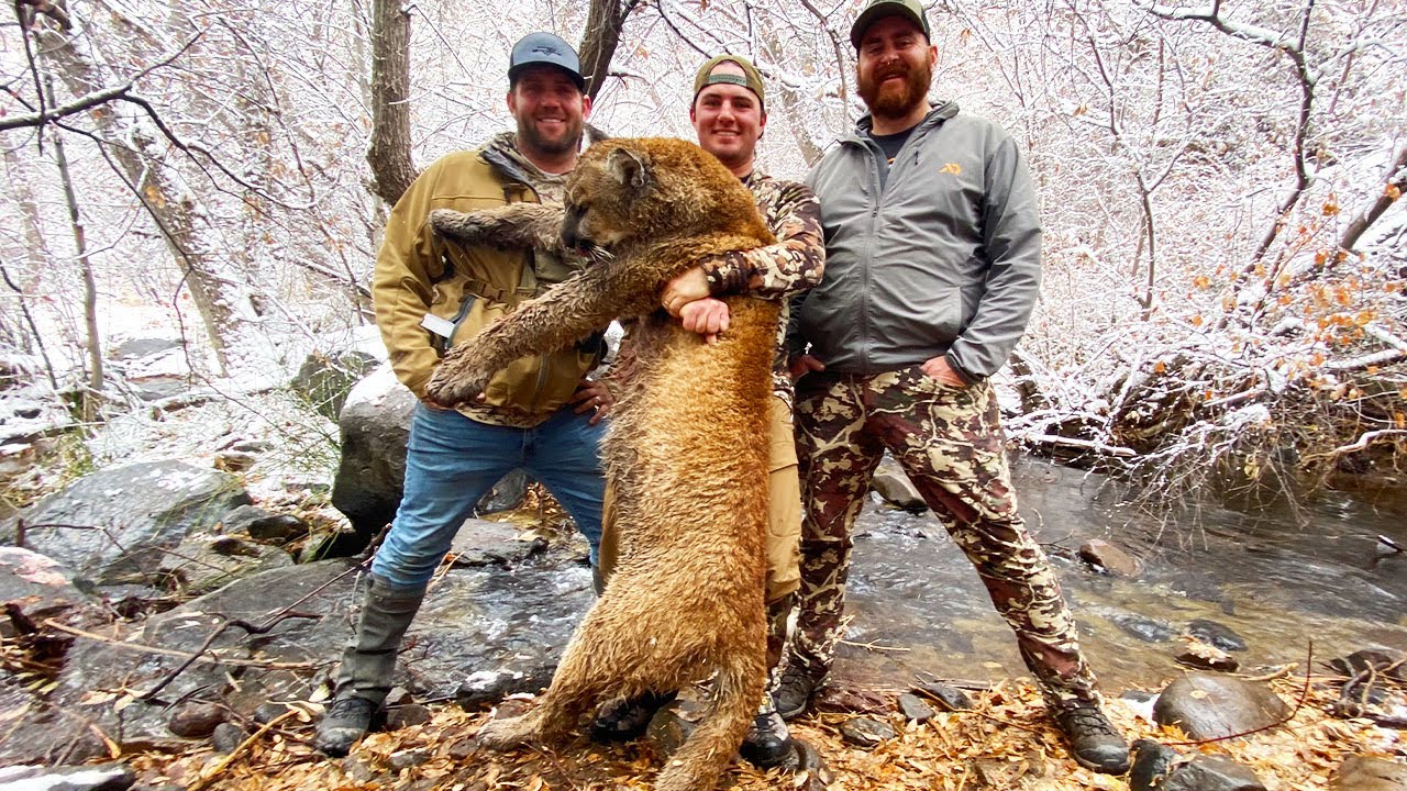 MOUNTAIN LION Hunting In Utah {Catch Clean Cook} Dream Come True