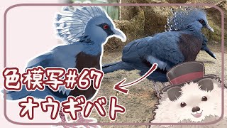 【一緒にお絵描き】色模写の火曜日＃６７【まったり朝活】