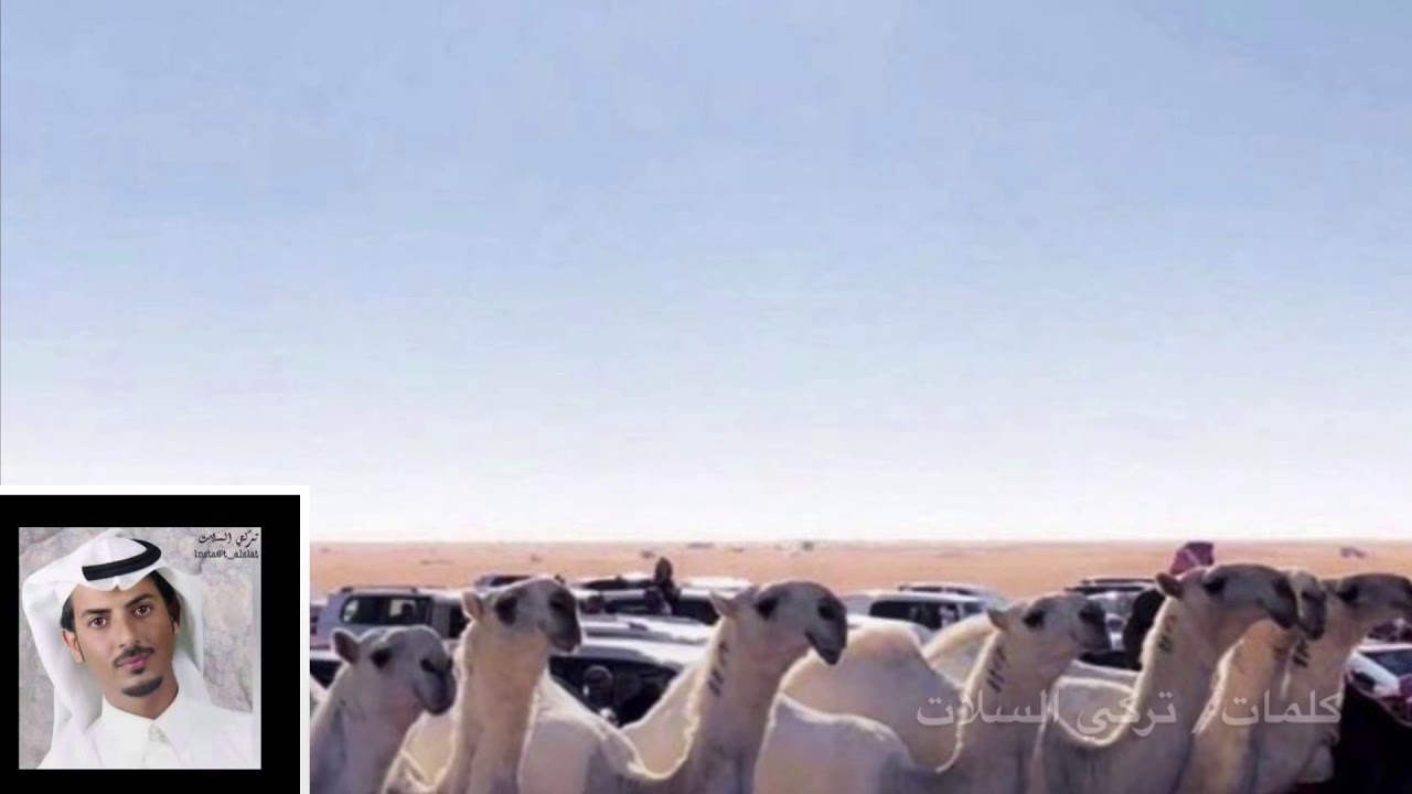 كلمات/ تركي السلات