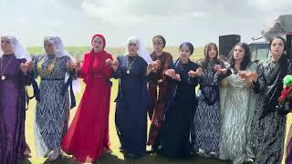 NARIM BE KESO /DERİKLİ HOZAN MEMO 2026
