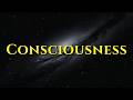 Every Philosophical Argument About Conciousness 