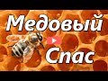 Медовый спас. Православие. Традиции.