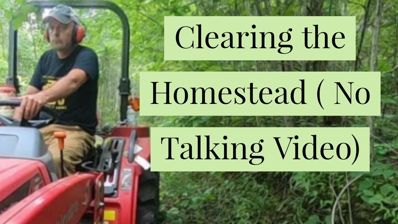 Clearing the Homestead at the Off Grid Cabin with the Bush Hog (No Talking)