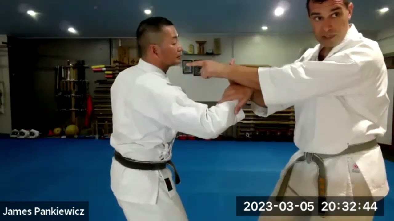 Asato Dojo Seminars: Tomari Chinto kata applications - first 20 mins excerpt