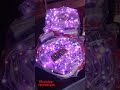 45ft, 100 bulb Neutral Cut Pixel Belt