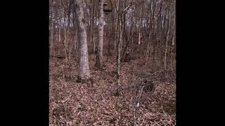 Vernon County Buck 10.7.21