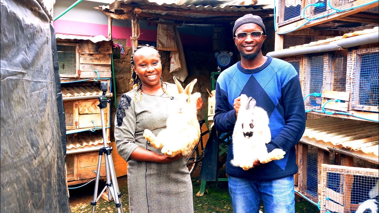 HOW SHE EARNS A DECENT LIVING THROUGH COMMERCIAL RABBIT FARMING IN THIKA KIAMBU COUNTY 
