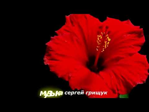 Музыка Для Души ,,СКАЗКА ЖИЗНИ, ,Музыка Сергей  Грищук