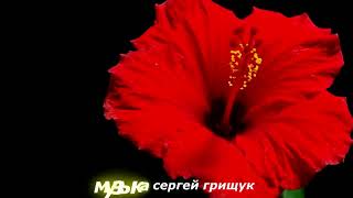 Музыка Для Души ,,Сказка Жизни, ,Музыка Сергей  Грищук