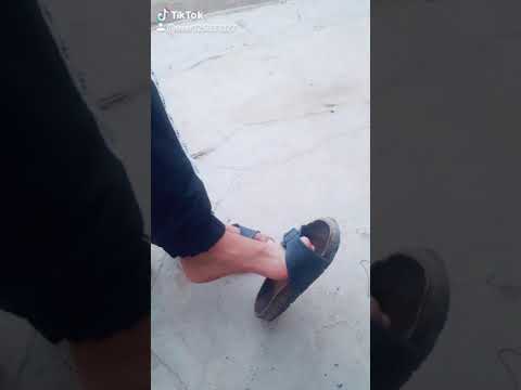 CheBa WarDa ChaRlementi FL GooD