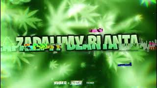 KUMI - ZAPALIMY BLANTA ( KubeQ & DJ BOCIAN REMIX )