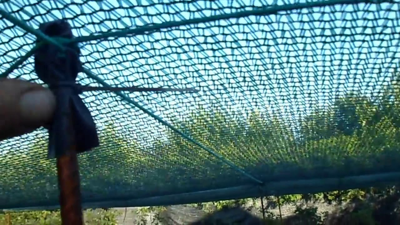 Как просто натянуть защитную сетку - YouTube