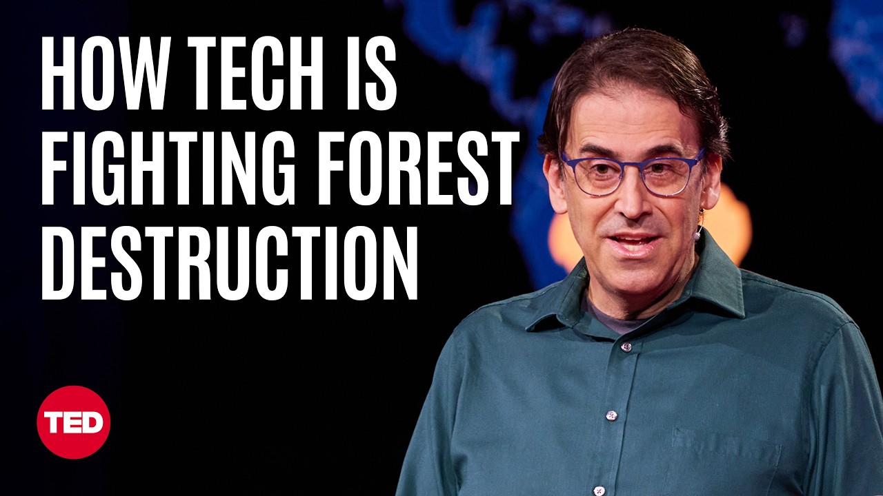 How to See (and Stop) Deforestation from Space | Tasso Azevedo | TED