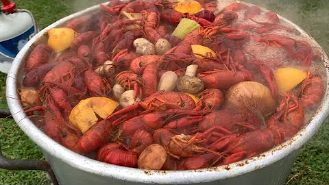 Louisiana Boiled Crawfish with fixings in 3.5 minutes