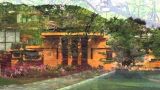 Check it Out: Frank Lloyd Wright