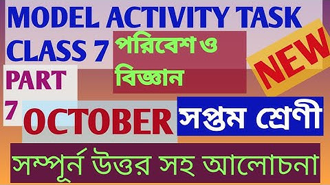 Class 7 Model Activity Task Science Part 7 || Model Activity Task Class 7 Science Part 7