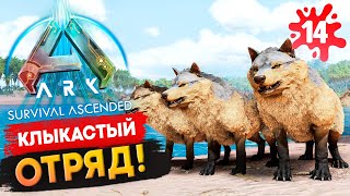 Приручил Топ ИМБУ! Лютоволк и Саблезуб в Ark: Survival Ascended! Выживание Соло с нуля s1.14