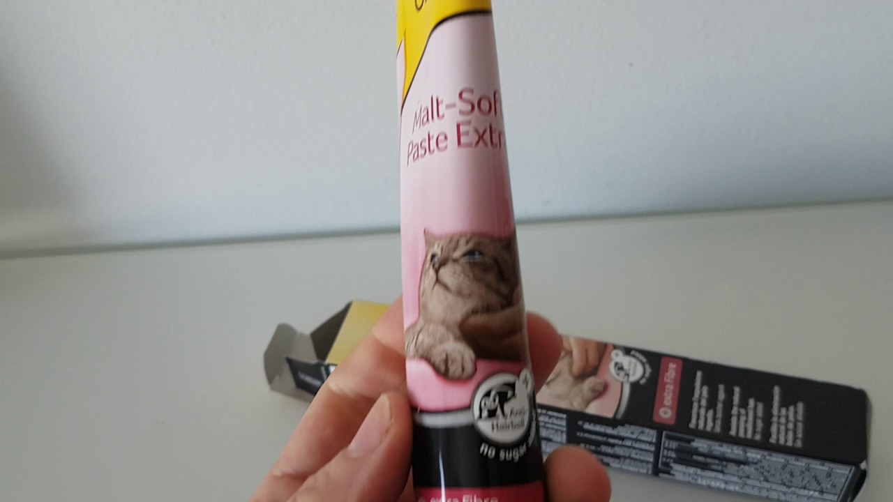 Pasta Malta Soft Gimcat Con Tgos Para Gatos YouTube