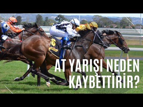 Video: At yarışında 18 at var?