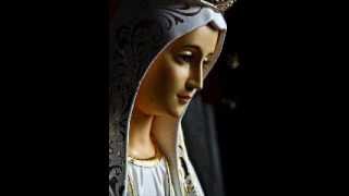 Video thumbnail of "AVE MARIA ...SONG ON MOTHER MARY (By our beolved REV. FR.DENIZ VAIZ)"