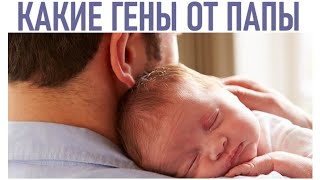 ЧТО РЕБЕНОК НАСЛЕДУЕТ ОТ ОТЦА | 15 вещей которые ребенок наследует от папы