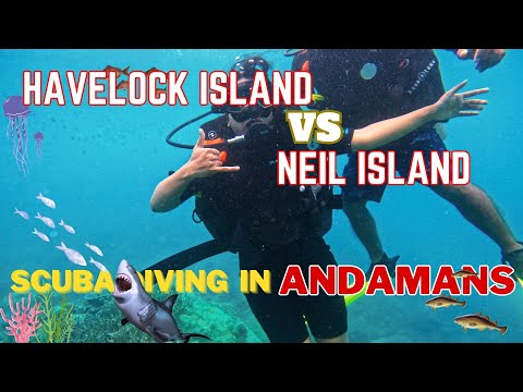 Scuba Diving in Andaman | Neil Island vs Havelock Island's diving experience | A&N
