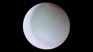 血管内視鏡アトラス 血管内視鏡像の代表的動画集/メジカルセンス/児玉和久（大型本） Amazon.co.jp: 血管内視鏡アトラス : 児玉 和久: 本