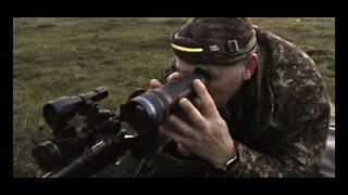 Saving Ground Nesting Birds: Precision Fox Control With The 6ppc Rifle #hunting #pestcontrol