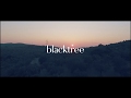 Blacktree  intro