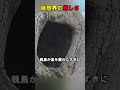 自然界の厳しさを知ったカラス