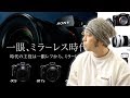 【カメラ】SONYの一眼カメラの特徴とα7Rⅲとα７ⅲの違いの話